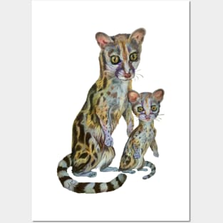 Cute Genets Posters and Art